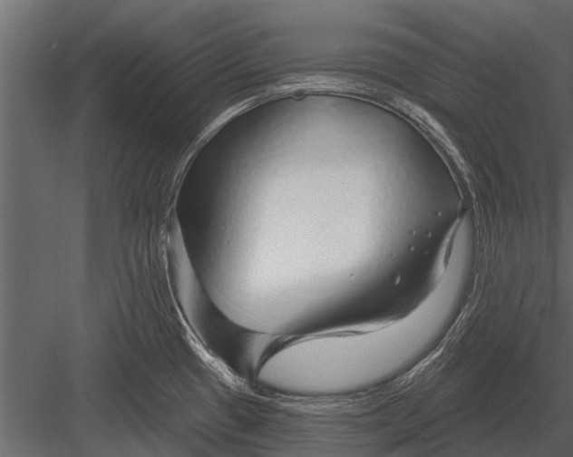X0000083551433200702240059