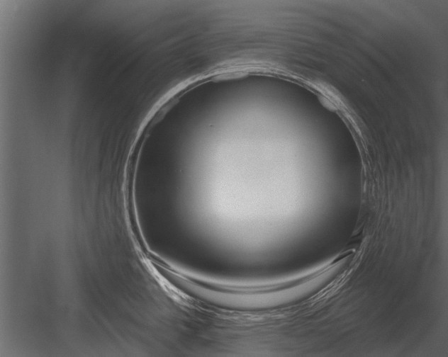 X0000083551438200702240059
