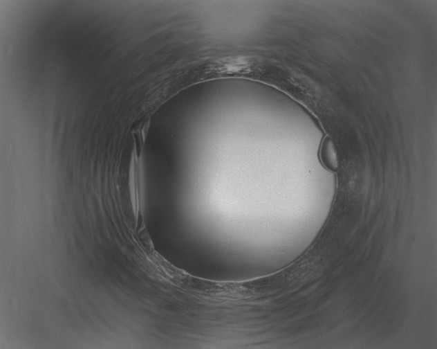 X0000083551442200702240059