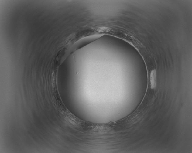 X0000083551443200702240059