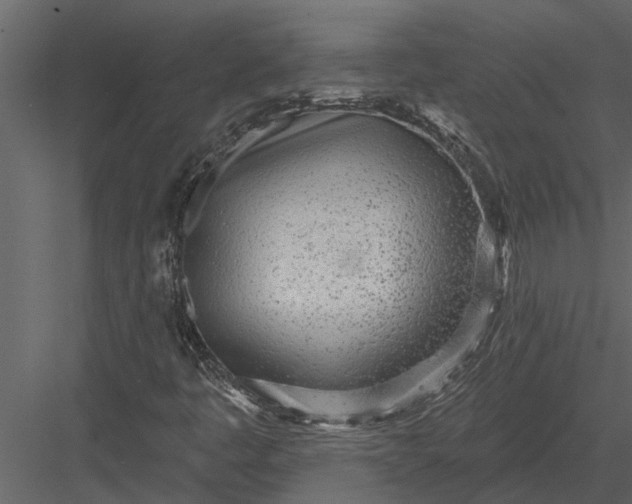 X0000083551445200702240058