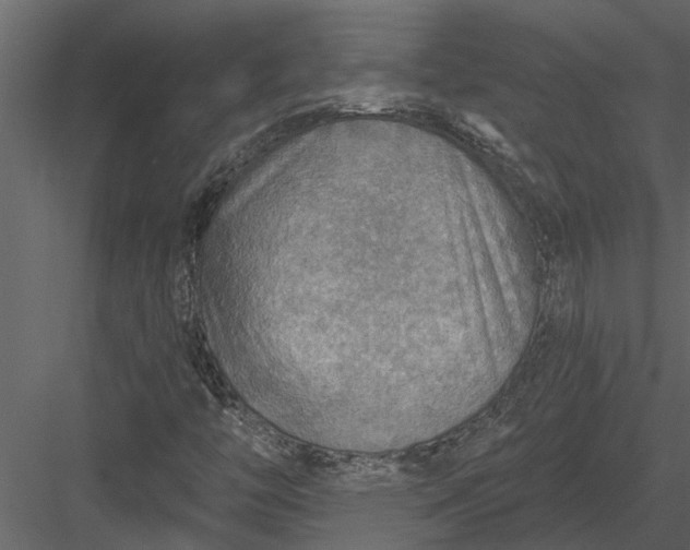 X0000083551446200702240058