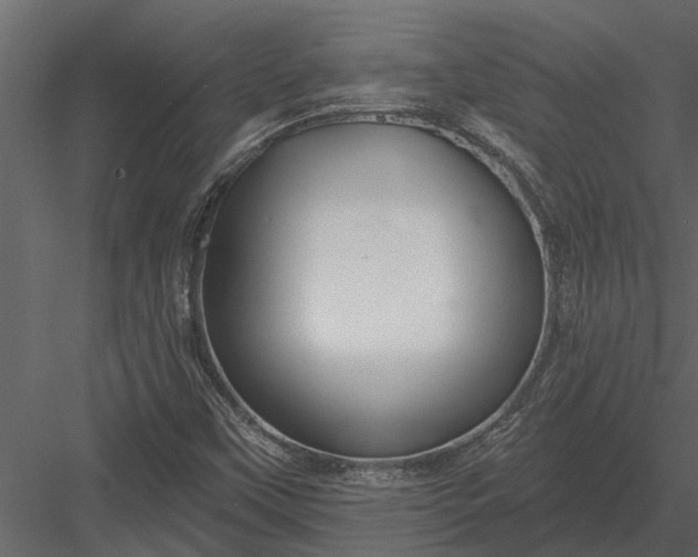 X0000083551451200702240058
