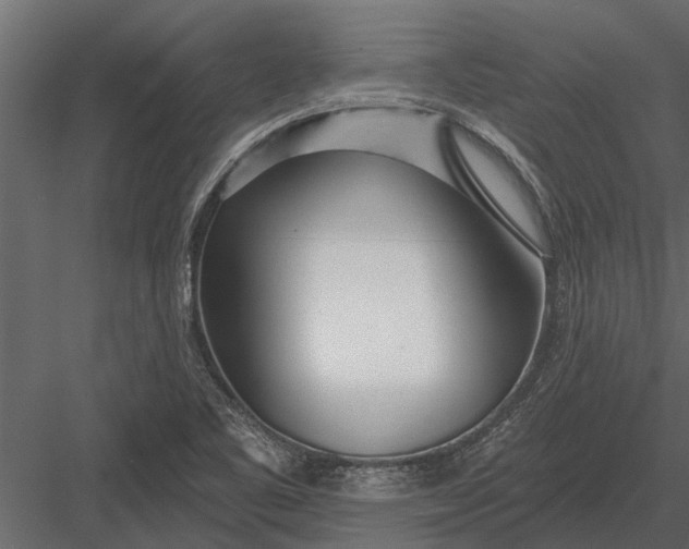 X0000083551461200702240058