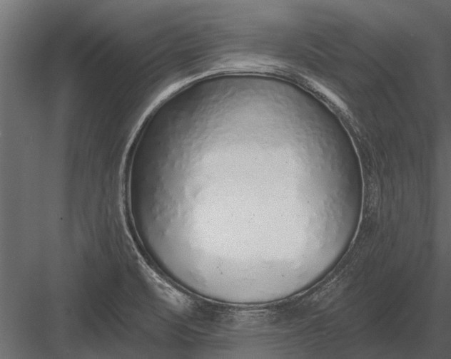 X0000083551471200702240058