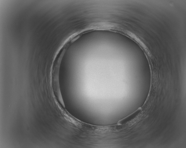 X0000083551477200702240058