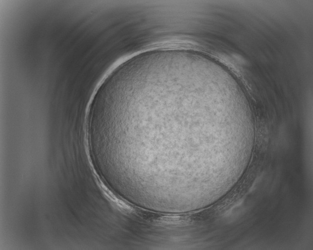 X0000083551478200702240058