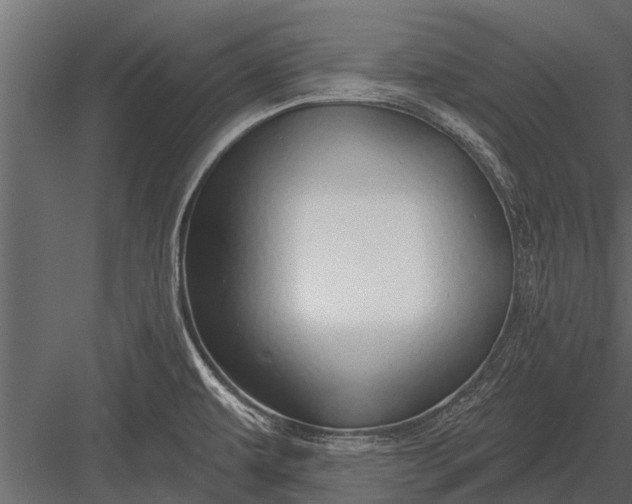 X0000083551479200702240058