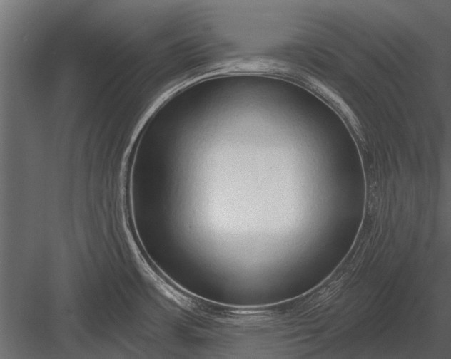X0000083551483200702240058