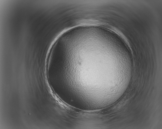 X0000083551488200702240058