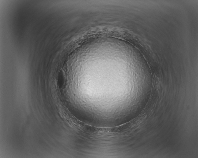X0000083551489200702240057
