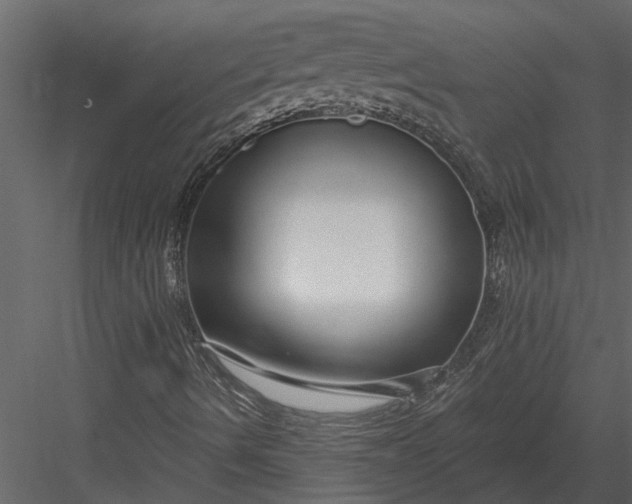 X0000083551490200702240057