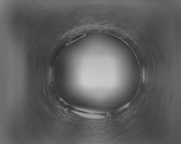 X0000083551492200702240057