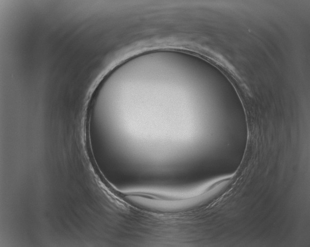 X0000083551512200702240057