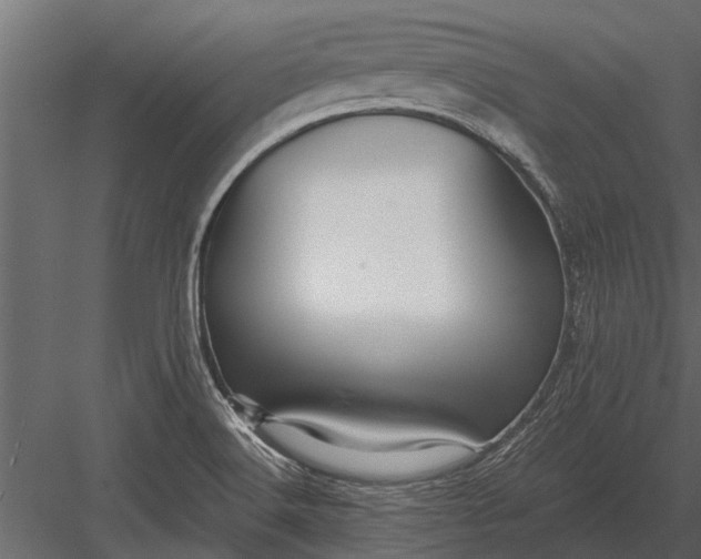 X0000083551516200702240057