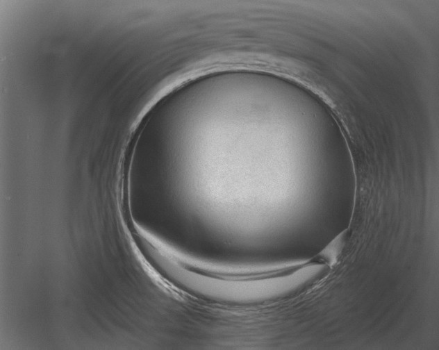 X0000083551523200702240058