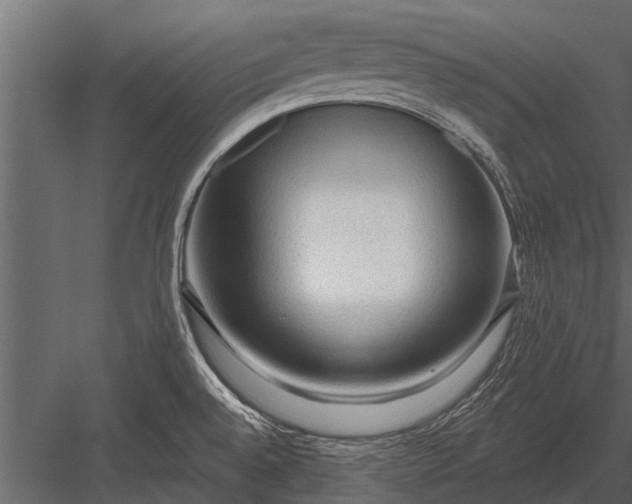 X0000083551528200702240058