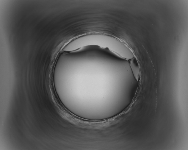 X0000083550001200703021704