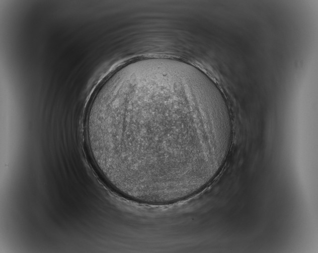X0000083550002200703021704