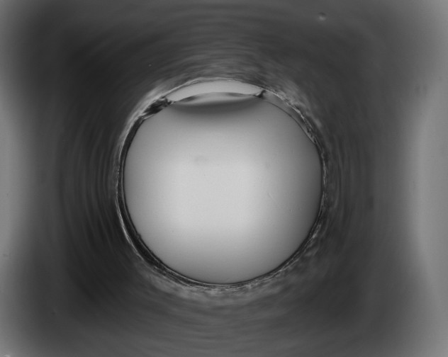 X0000083550003200703021704
