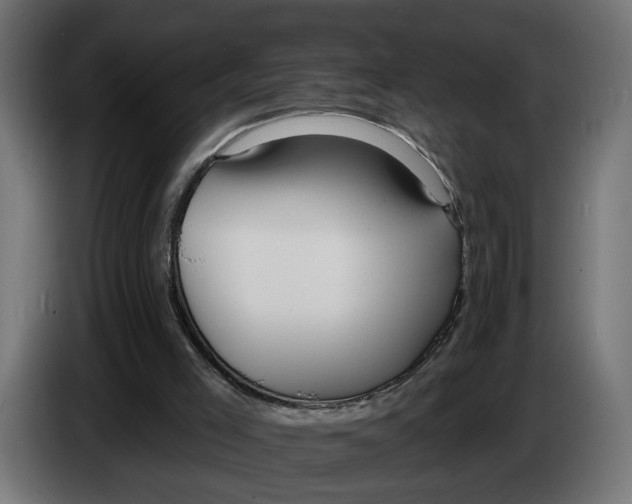 X0000083550005200703021704