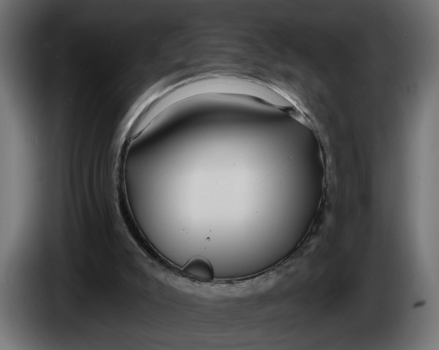 X0000083550007200703021703