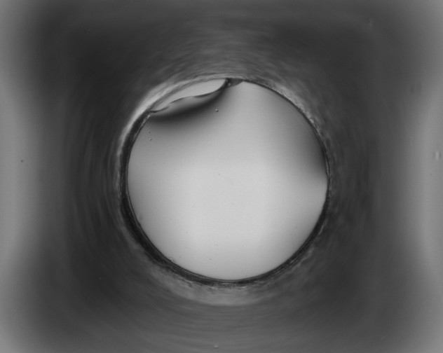 X0000083550008200703021703
