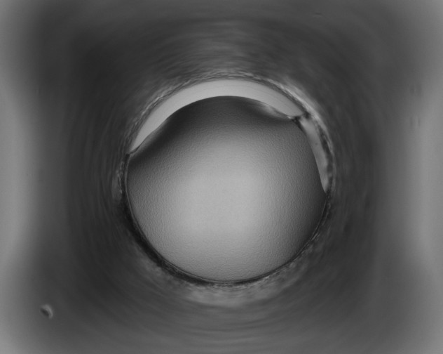 X0000083550009200703021703