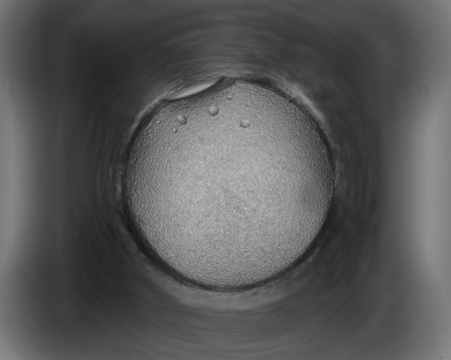 X0000083550010200703021703