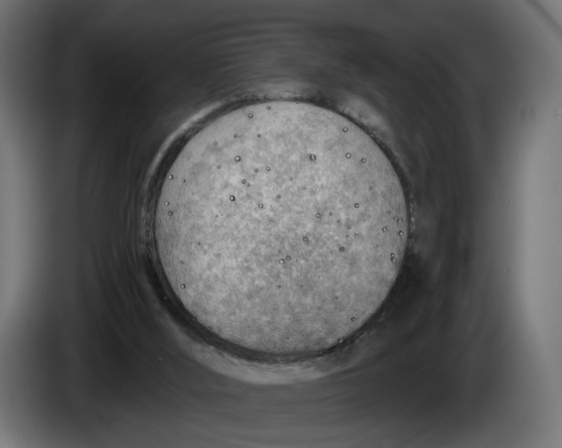 X0000083550012200703021703