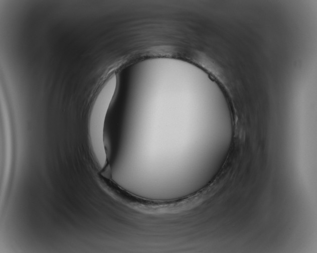 X0000083550013200703021703