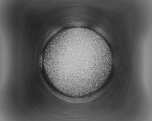 X0000083550014200703021703