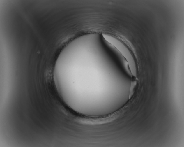 X0000083550017200703021703