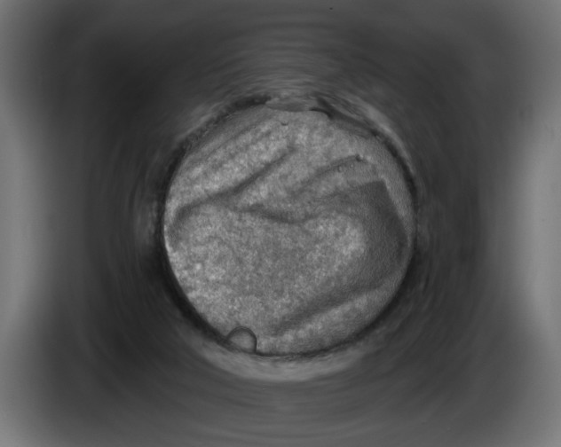 X0000083550018200703021703