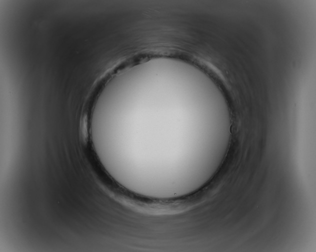 X0000083550020200703021703