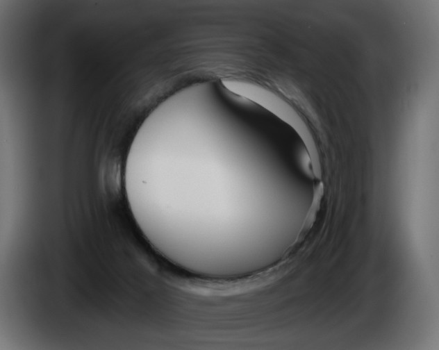 X0000083550021200703021703