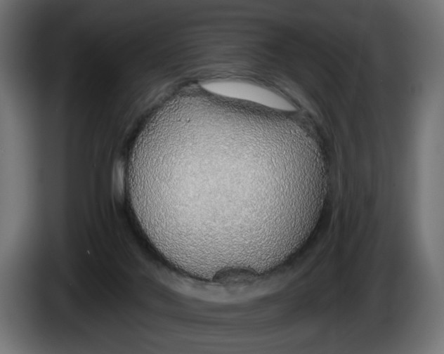 X0000083550022200703021703