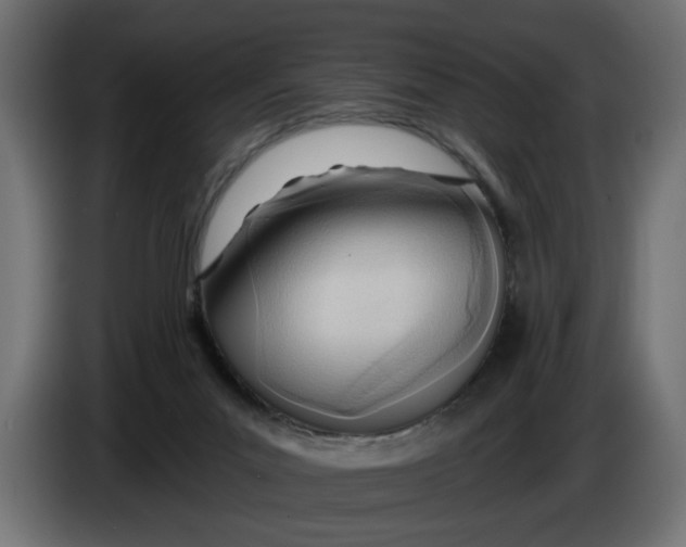 X0000083550023200703021703
