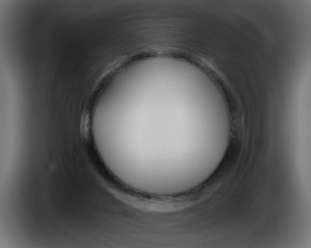X0000083550024200703021703