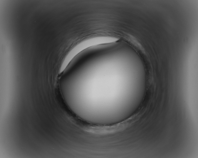 X0000083550025200703021703