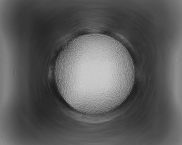X0000083550026200703021703