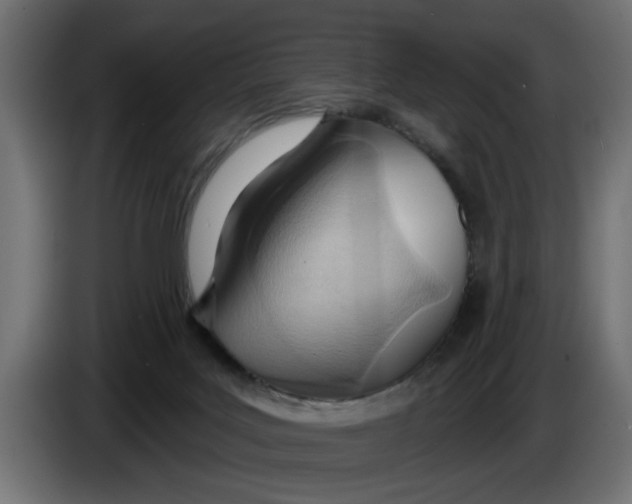 X0000083550027200703021703