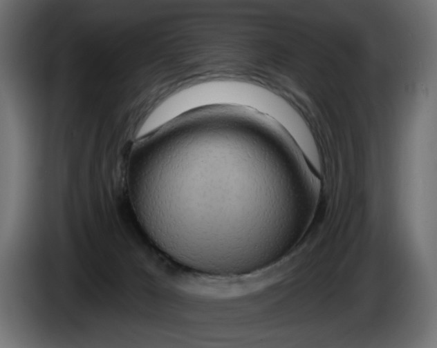 X0000083550029200703021703
