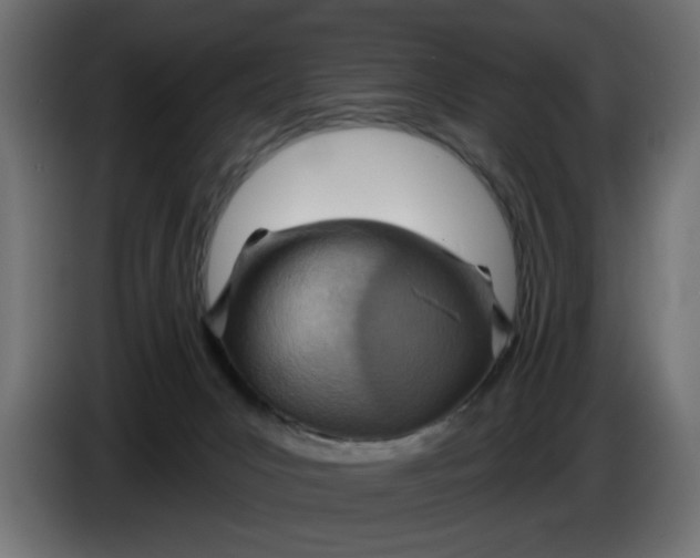 X0000083550031200703021703
