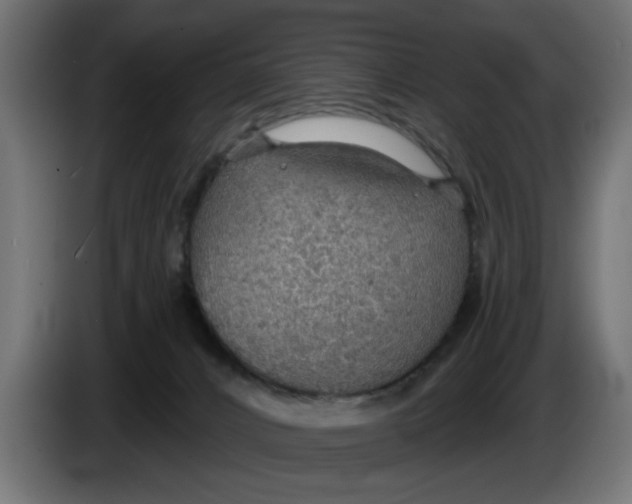 X0000083550032200703021703