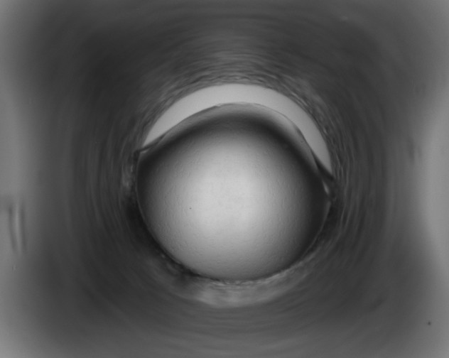 X0000083550033200703021703