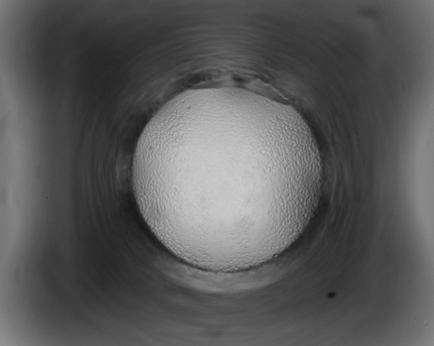 X0000083550034200703021703