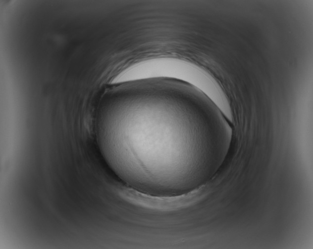 X0000083550035200703021703