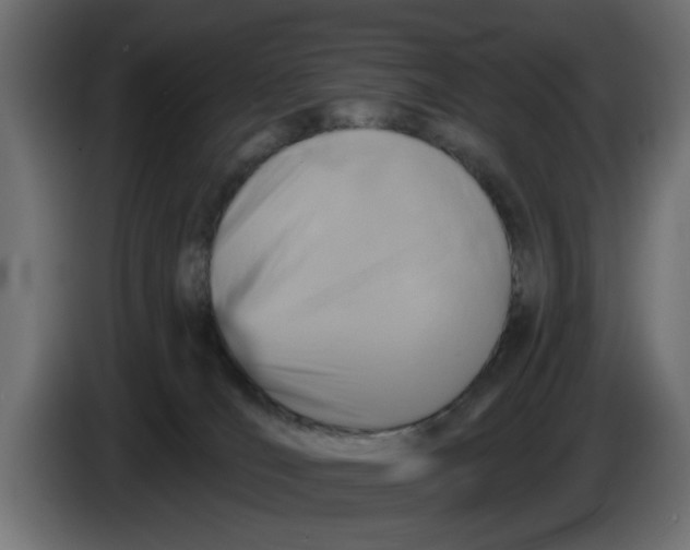 X0000083550036200703021703