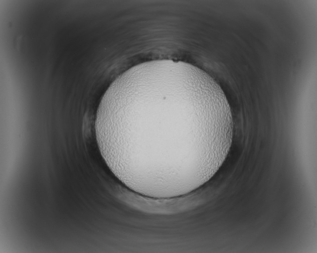 X0000083550038200703021703